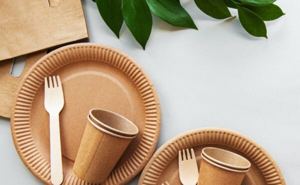 Czy naczynia jednorazowe sprawdzą się na imprezach okolicznościowych?