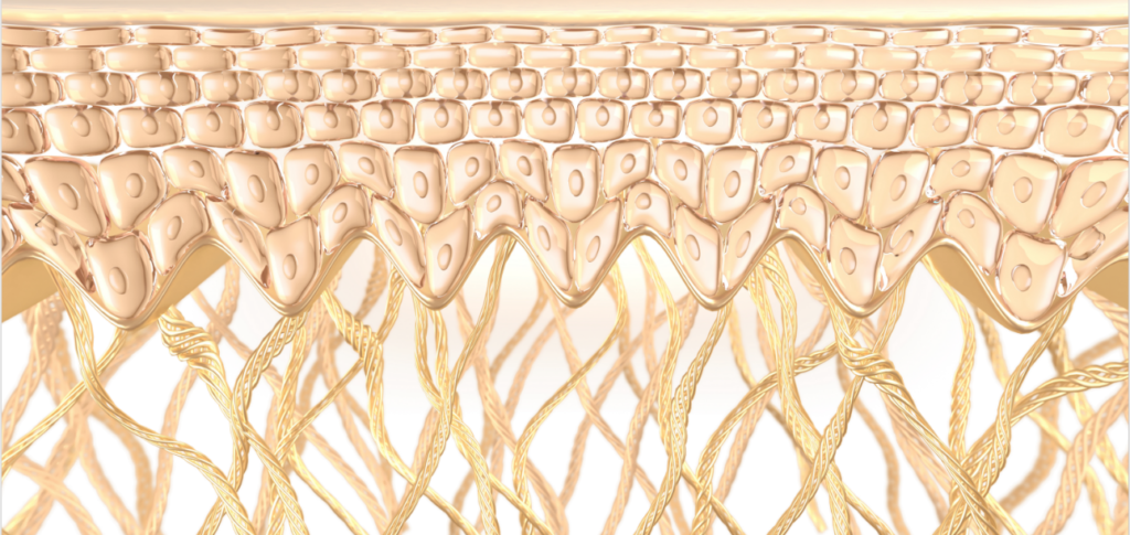 Granatowe włosy – komu pasują i jak wygląda pielęgnacja?