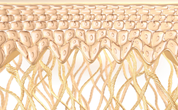 Granatowe włosy – komu pasują i jak wygląda pielęgnacja?