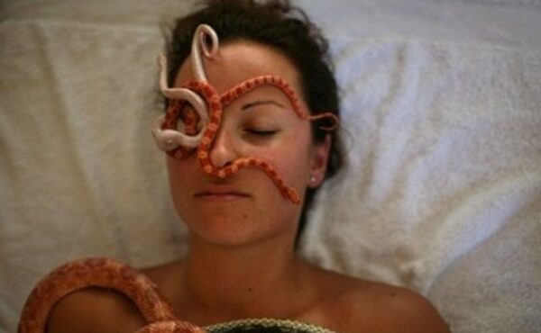 Masaż wężami – gadzi masaż dla piękna i zdrowia naszego ciała