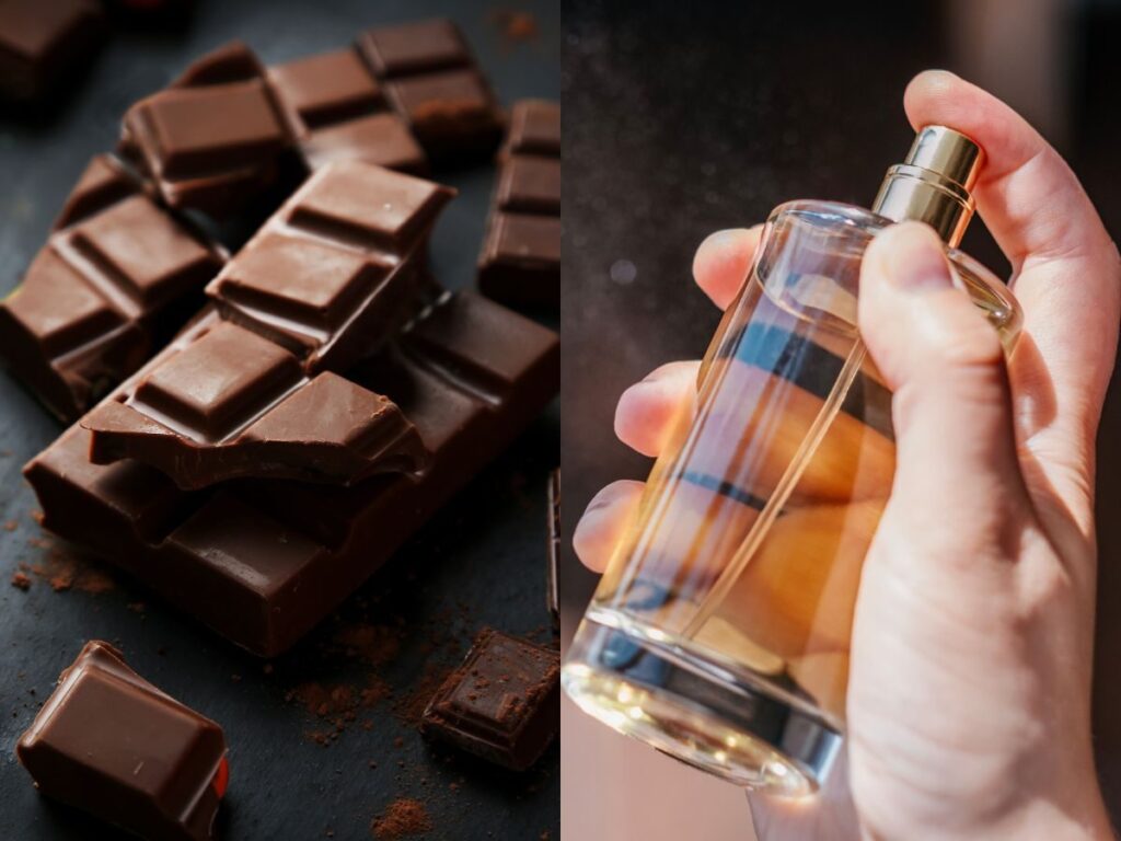 Te perfumy pachną jak deser marzeń – czy to zapach, który uzależnia?