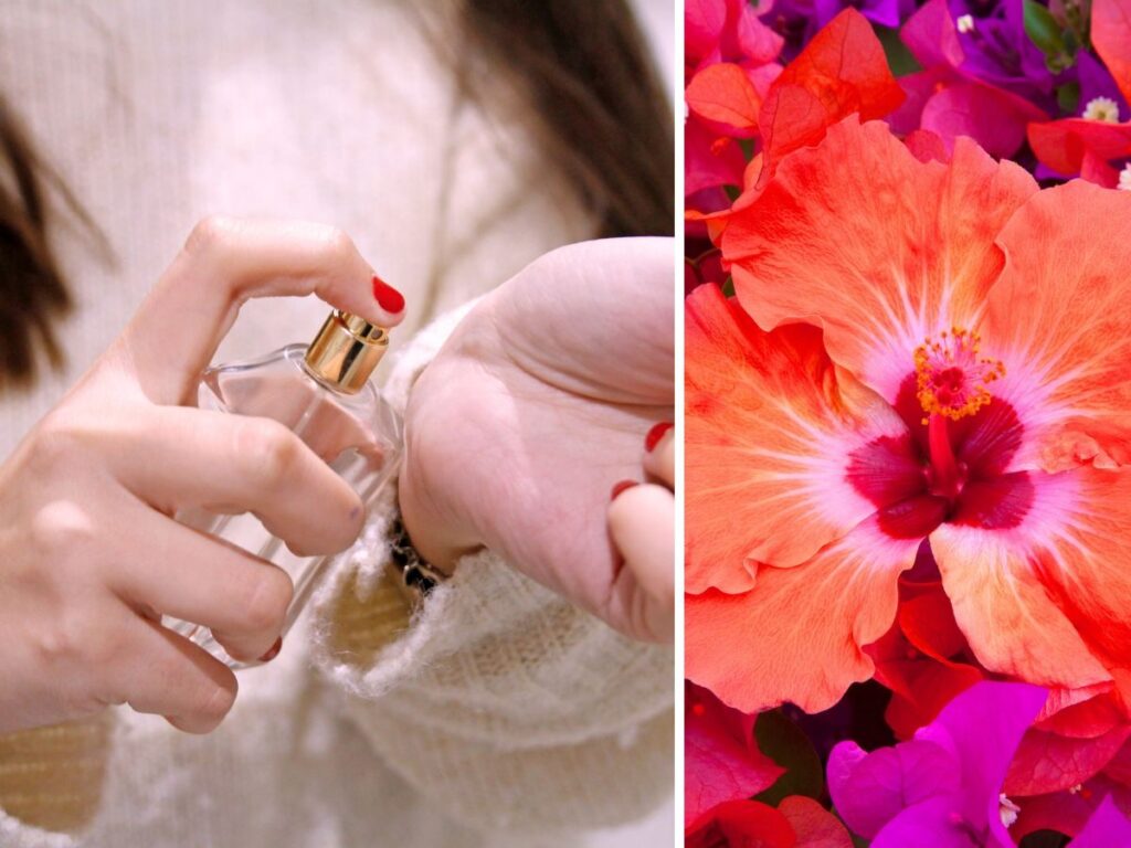 Perfumowy Fenomen, Który Hipnotyzuje Internet – Czy Ten Zapach To Nowy Obiekt Pożądania?
