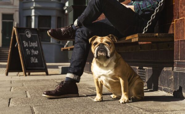 Bulldog Skincare For Men już w Polsce