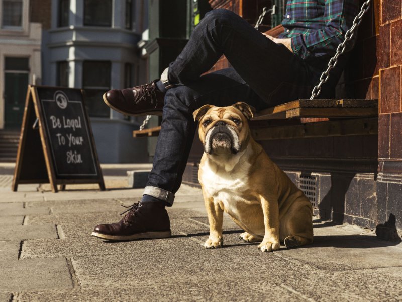 Bulldog Skincare For Men już w Polsce