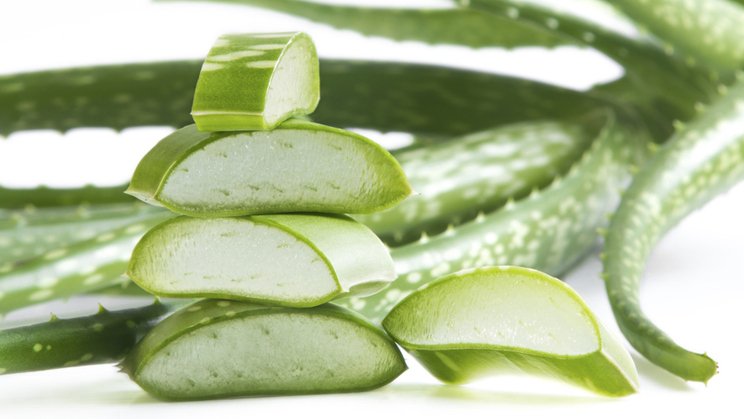 Wspaniałe właściwości aloesu