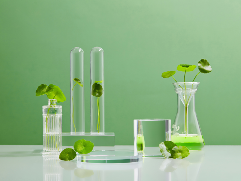 Właściwości wąkrotki azjatyckiej w kosmetykach