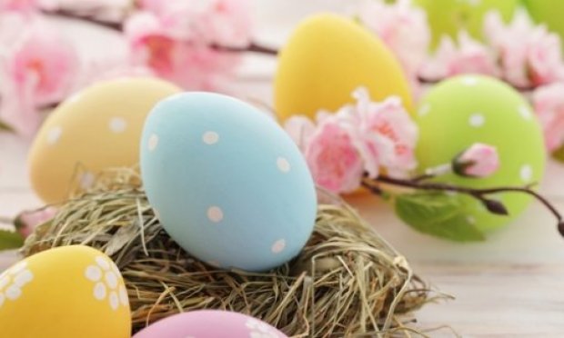 Ile jajek tygodniowo może zjeść zdrowa osoba?