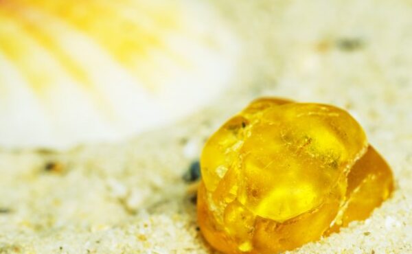 Bałtycki bursztyn – jakie ma właściwości i do czego można go wykorzystać?
