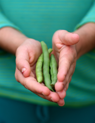 Jedz garściami, czyli wszystko o diecie garstkowej