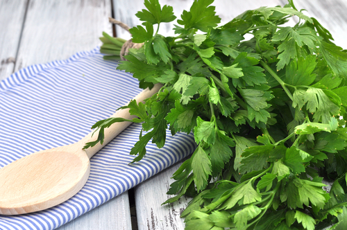 Pietruszka/fot. Shutterstock