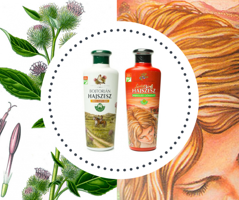 Podsumowanie Team Testów – wcierki do włosów Banfi