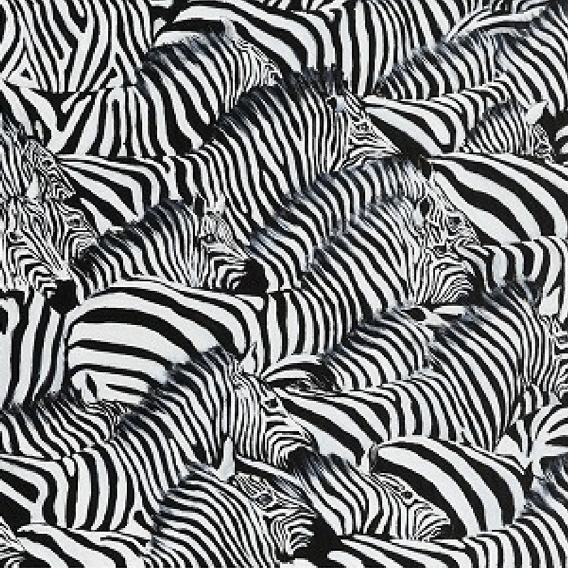 Różowy flaming, niebieski nosorożec… może weźmiesz je do domu?